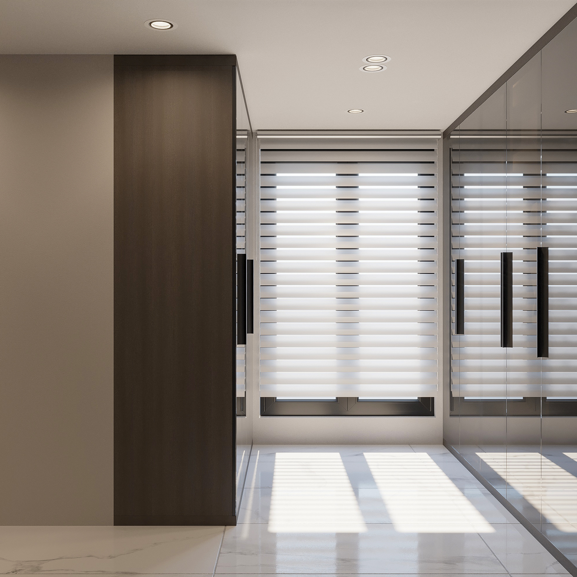 Smoked Glass Door Dressing Area